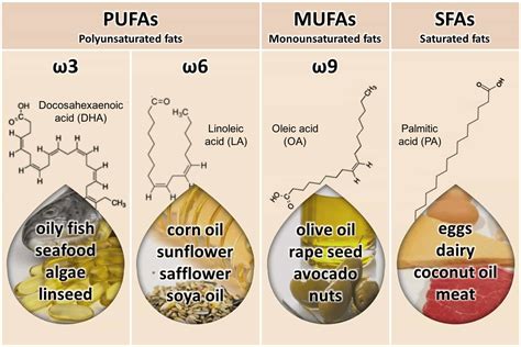 palm oil omega 3 or 6